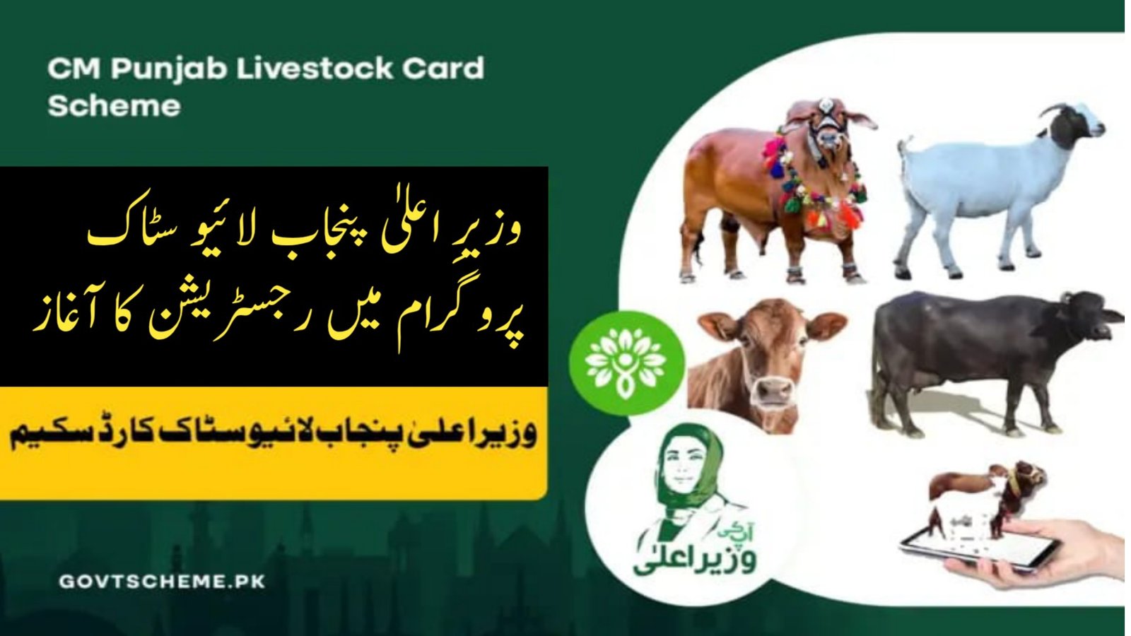 youtube thumbnail 1758284571424