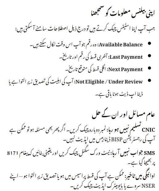 BISP Check Balance Online by CNIC