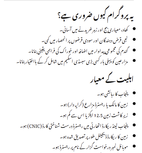 CM Punjab Wheat Support Program