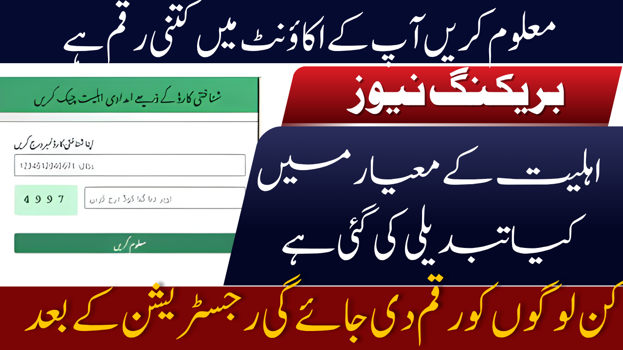 BISP Check Balance Online by CNIC