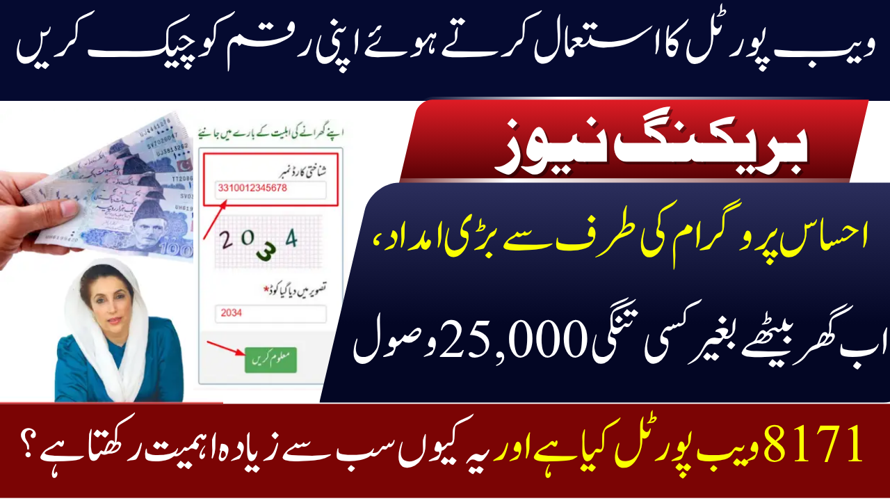 BISP CNIC Check Portal 25000 Online 8171