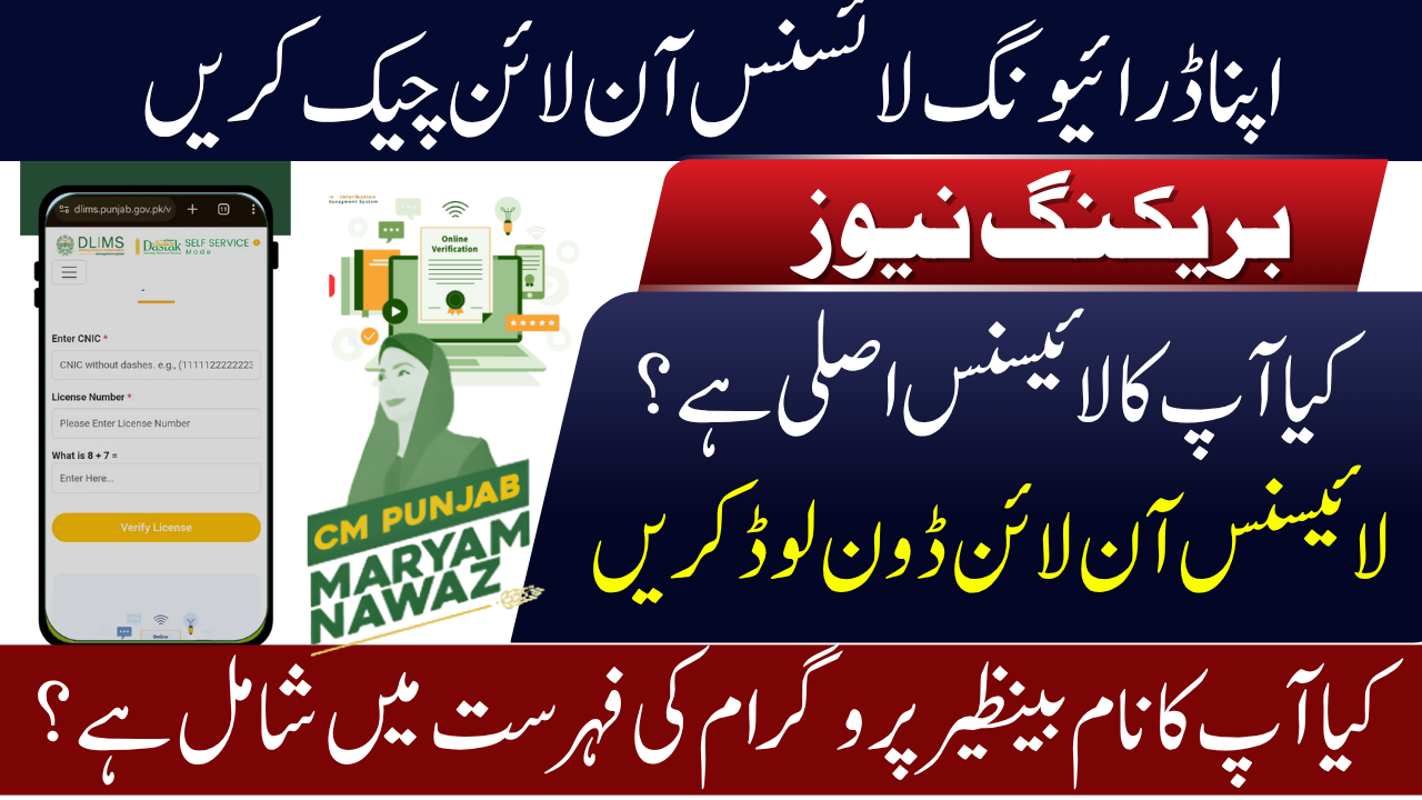 Big News eBiz Punjab Dlims Driving License Check Online By CNIC