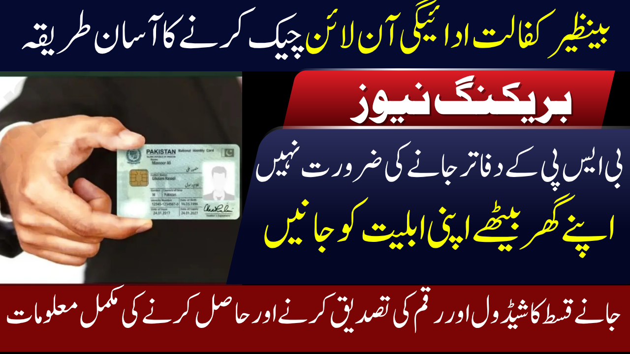 BISP Check Balance Online by CNIC