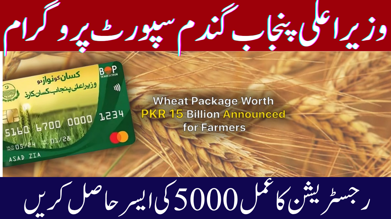 CM Punjab Wheat Support Program